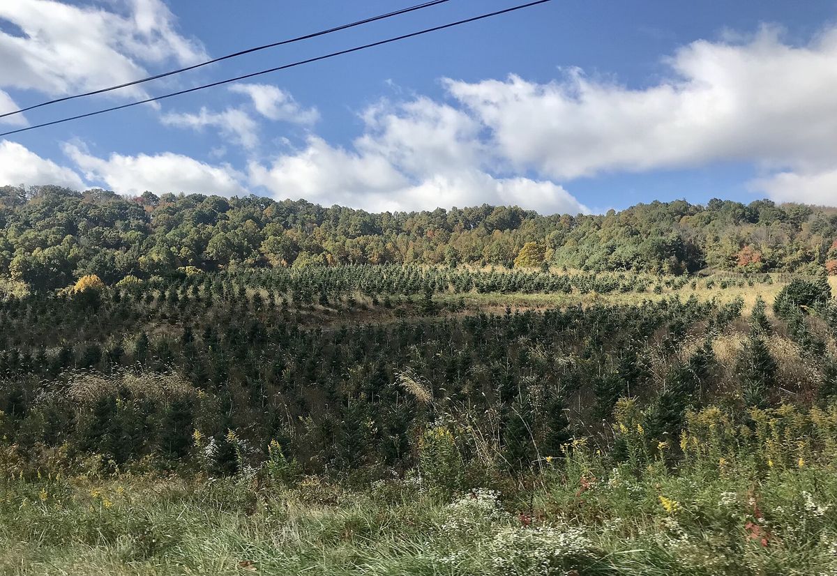 Land and acreage in the NC High Country